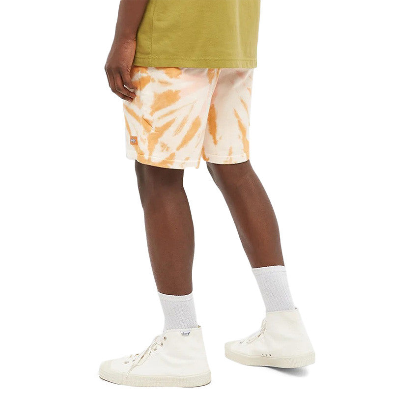 Short Dickies SEATAC CELADON