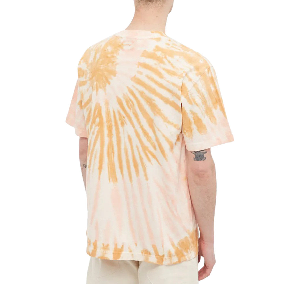 Tee-shirt Dickies SEATAC CELADON