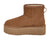 Chesnut foncé