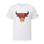 Tee-shirt New Era CHICAGO BULLS SUMMER CITY