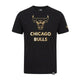 Camiseta CHIBUL metalizada de New Era