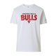 Tee-shirt New Era Chicago Bulls NBA Wordmark