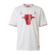 Tee-shirt New Era NBA TEAM LOGO Oversized Chicago Bulls Mesh