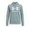 Sweatshirt Femme Under Armour RIVAL FLEECE BIG LOGO HD