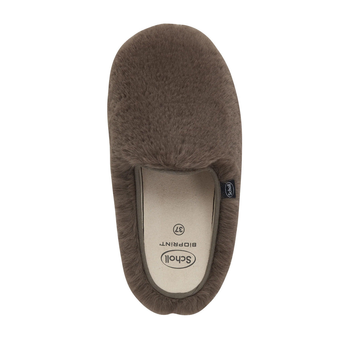 Chausson SCHOLL MADDY FUR