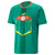 Maillot Puma Senegal Away 22/23 Replica