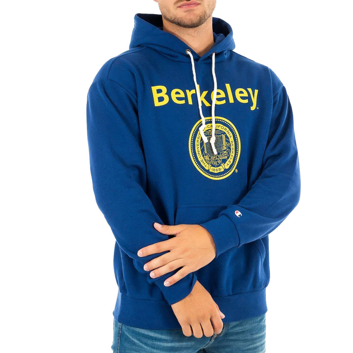 Sweat à capuche Champion