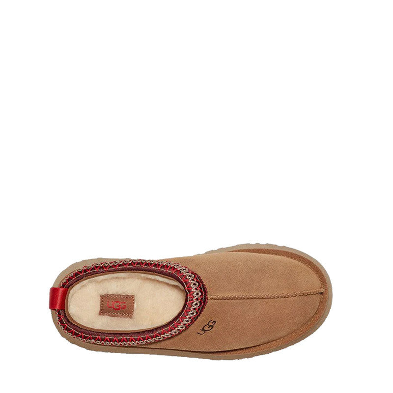 Chausson mule UGG W TAZZ