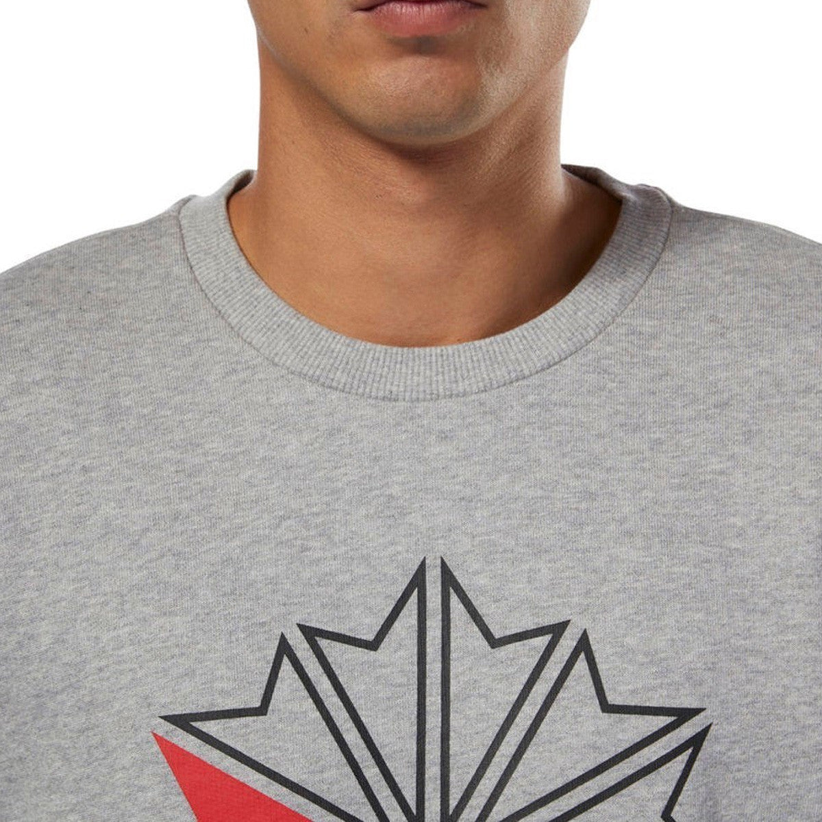 Sweat Reebok AC FT BIG STAR