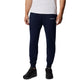 Pantalon de survêtement Columbia LOGO FLEECE JOGGER II