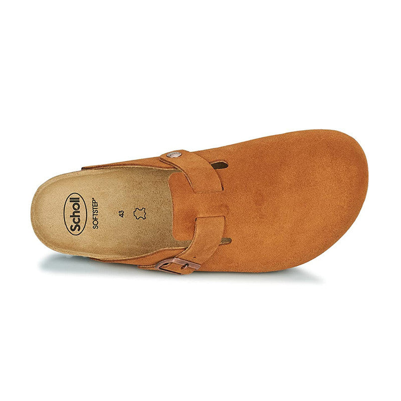 Chausson SCHOLL OLIVIER SUEDE
