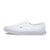 Basket Homme Vans AUTHENTIC LOW TRUE WHITE