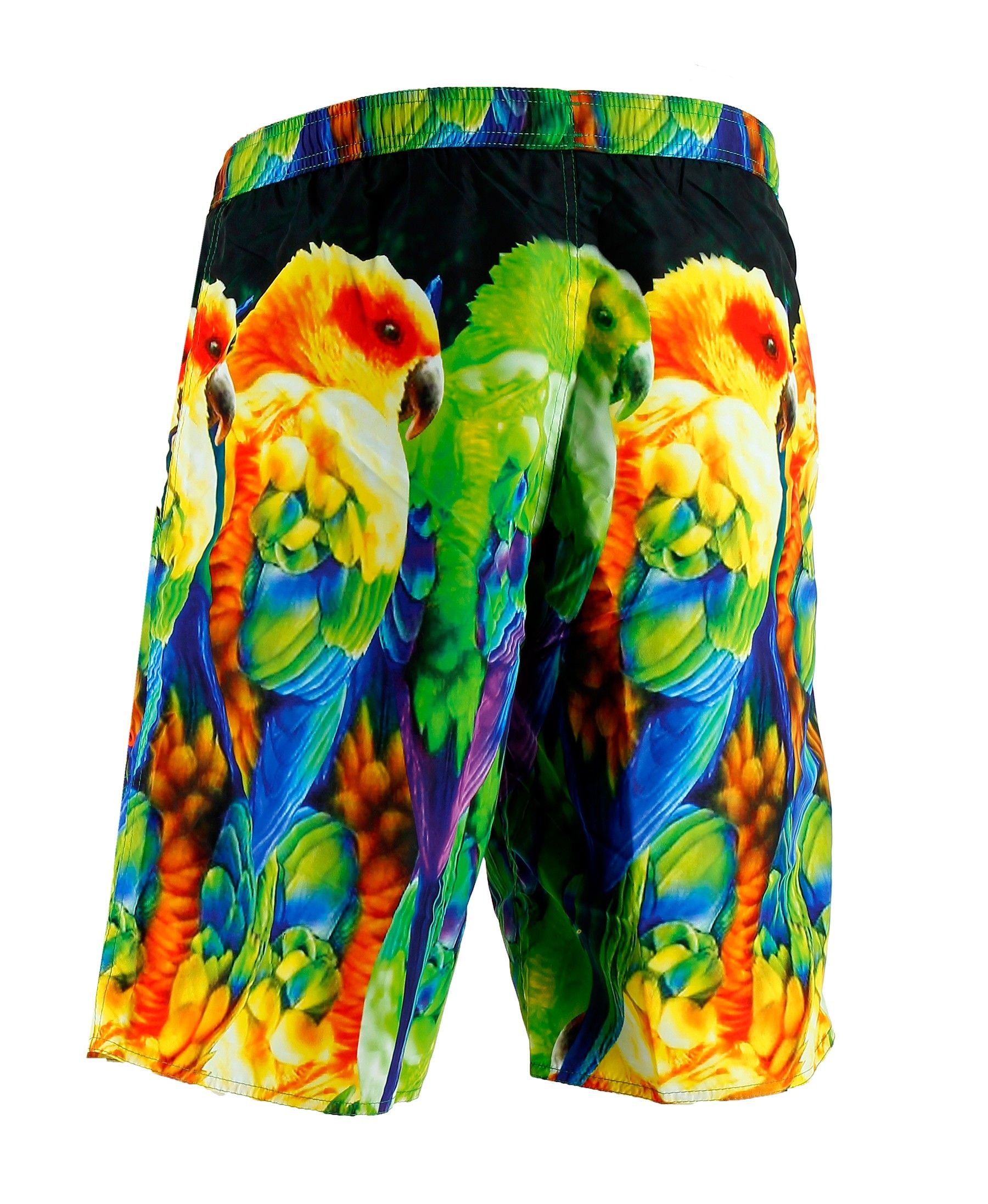 Bermuda EA7 Emporio Armani (Multicolore)