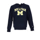 Sudadera con capucha Champion