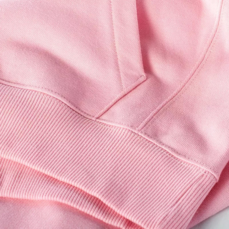 Sweat à capuche Champion