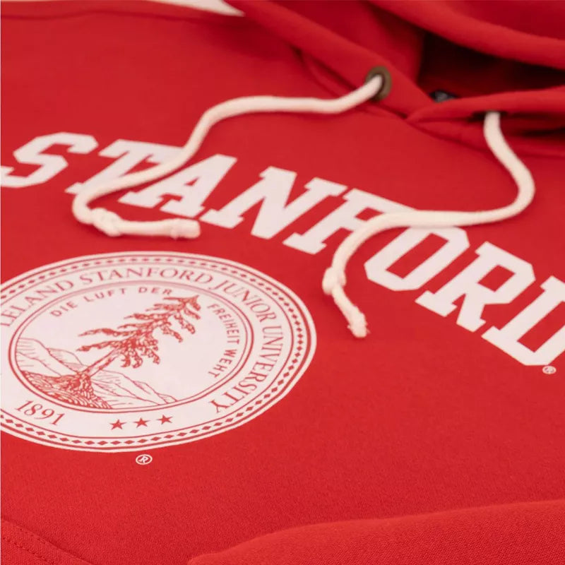 Sweat à capuche Champion