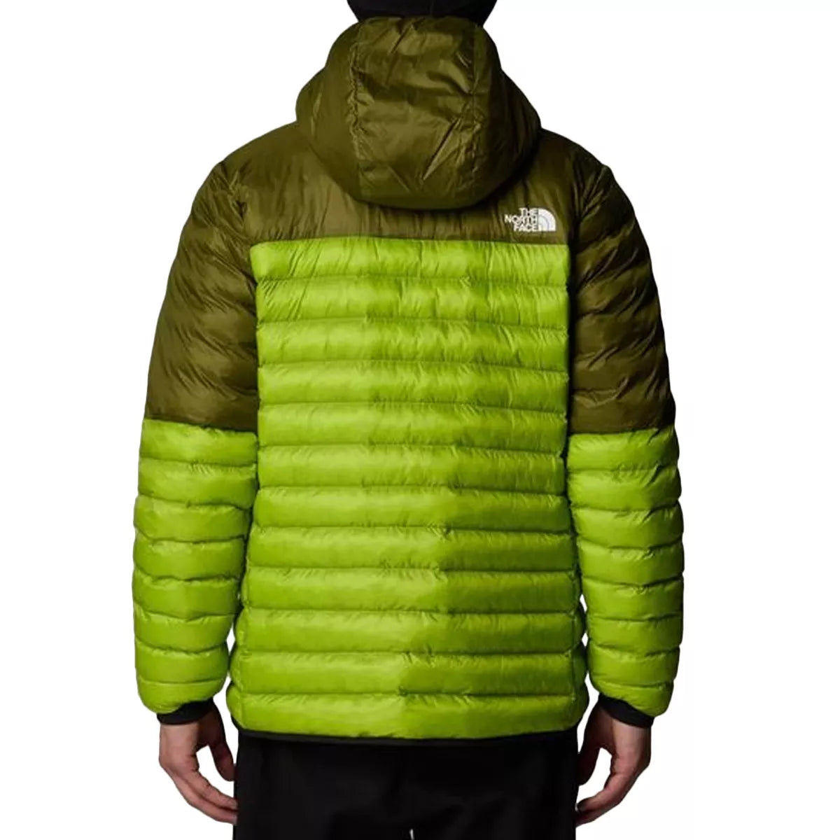Doudoune légère à capuche The North Face M TERRA PEAK