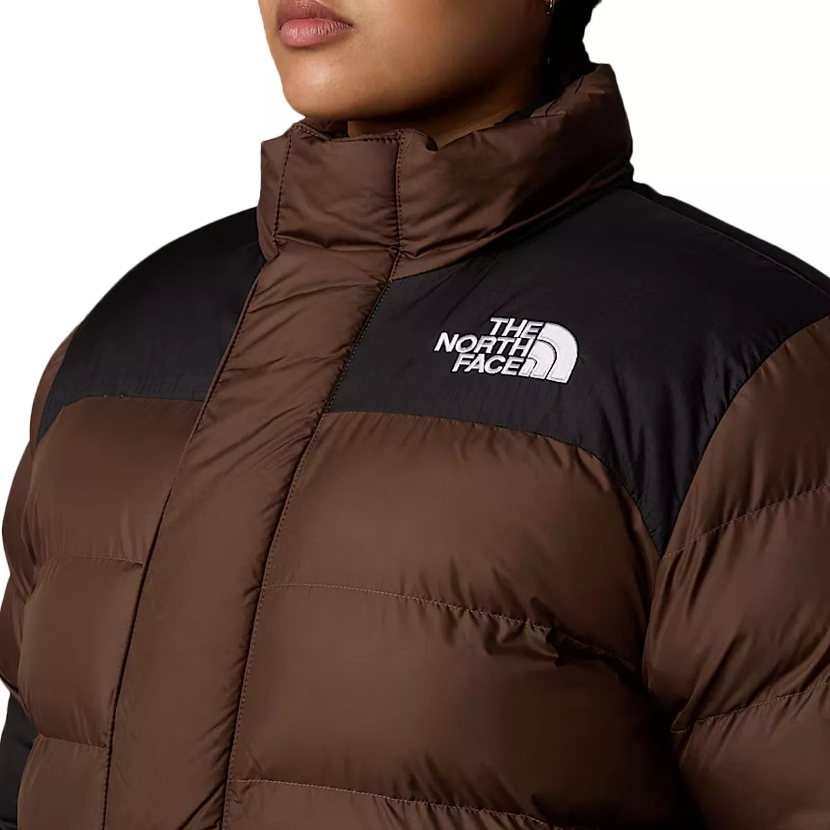 Doudounes The North Face WOMENS PLUS LIMBARA