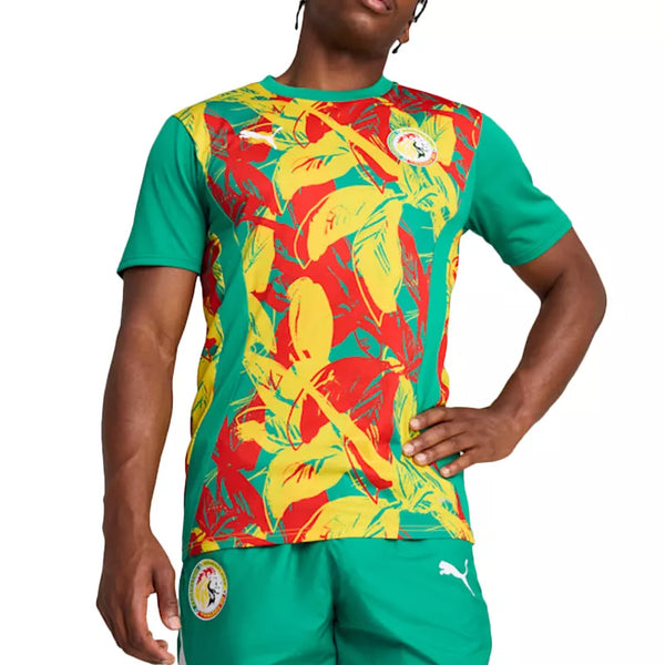 Tee-shirt Puma FSF Prematch SS