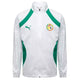 Veste de survêtement Puma FSF Prematch Wvn