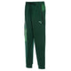 Pantalon de survêtement Puma Portugal FPF PUMATECH