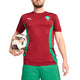 Tee-shirt Puma FRMF Prematch SS