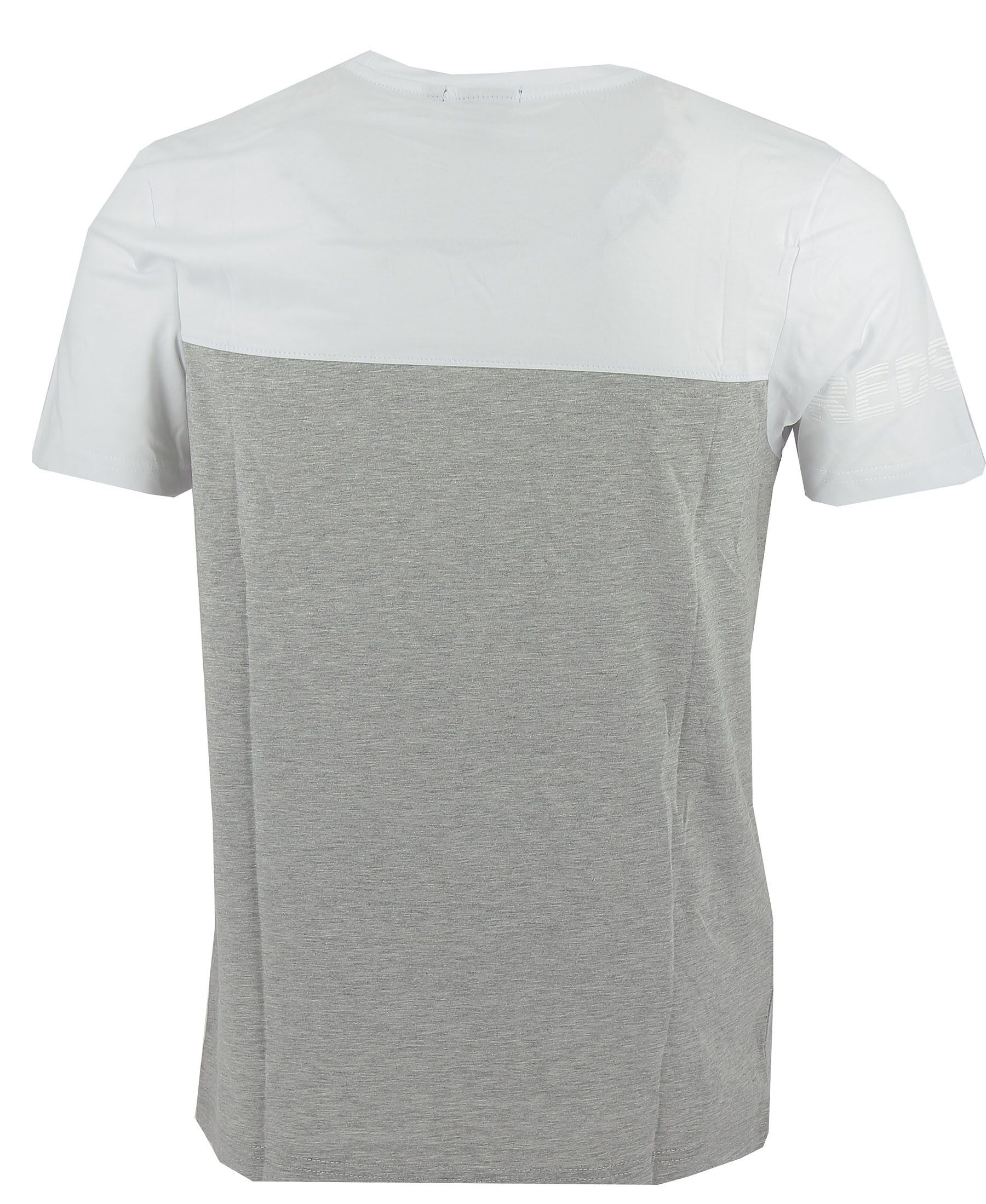 Redskins Tee-shirt Redskins Zeus Warner (Gris/Blanc)