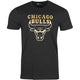 Tee-shirt New Era Chicago Bulls Graphique