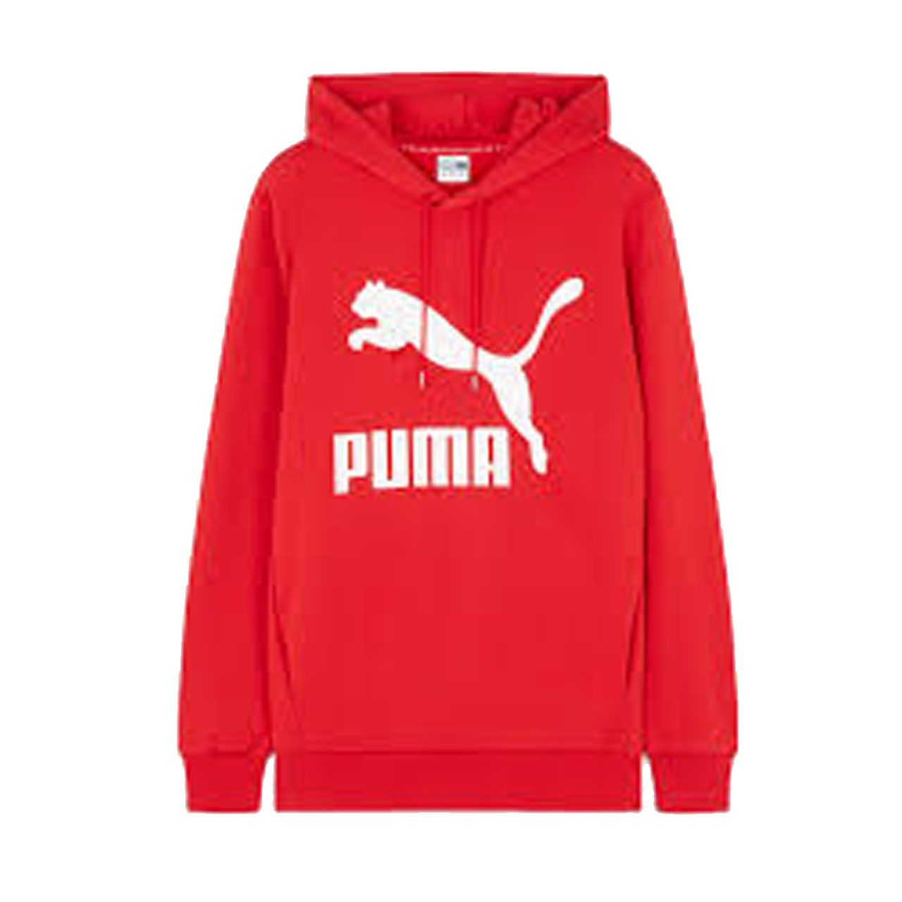 Sweat Puma ARCH CLASSIC SWEAT HOODY - Ref. 579278-12