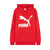 Sweat à capuche Puma ARCH CLASSIC