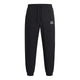 Pantalon de survêtement Homme Under Armour TECH SPORT