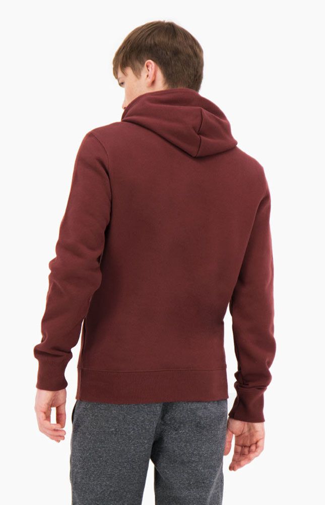 Sweats Champion HOODED SWEATSHIRT