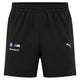 Short Homme Puma BMW MMS ESS WVN