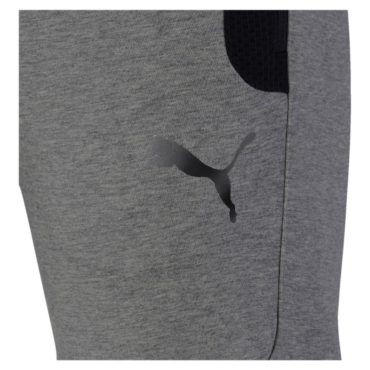 Pantalons de survêtement Puma FD EVOST