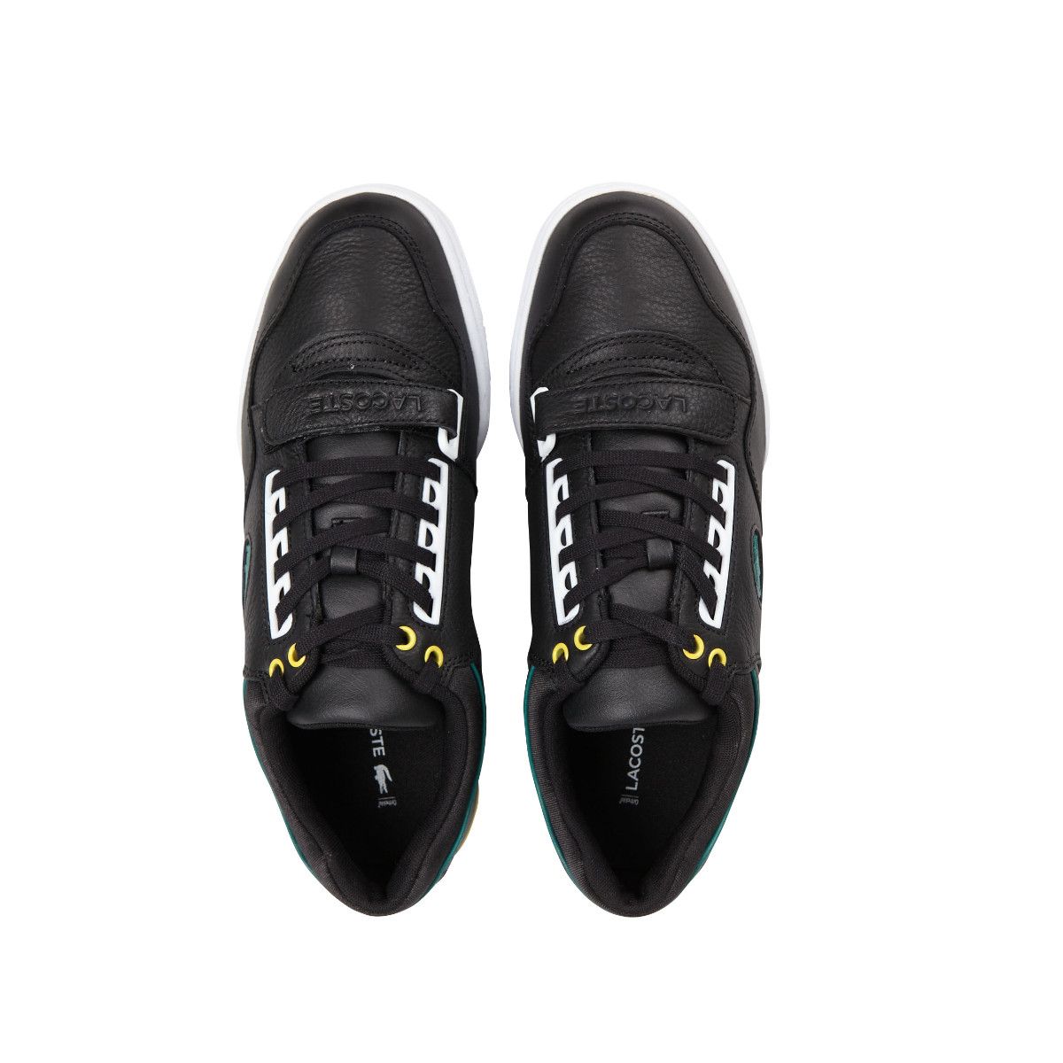 Baskets Lacoste MISSOURI 120