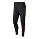 Pantalon de survêtement Nike JORDAN JUMPMAN FLIGHT