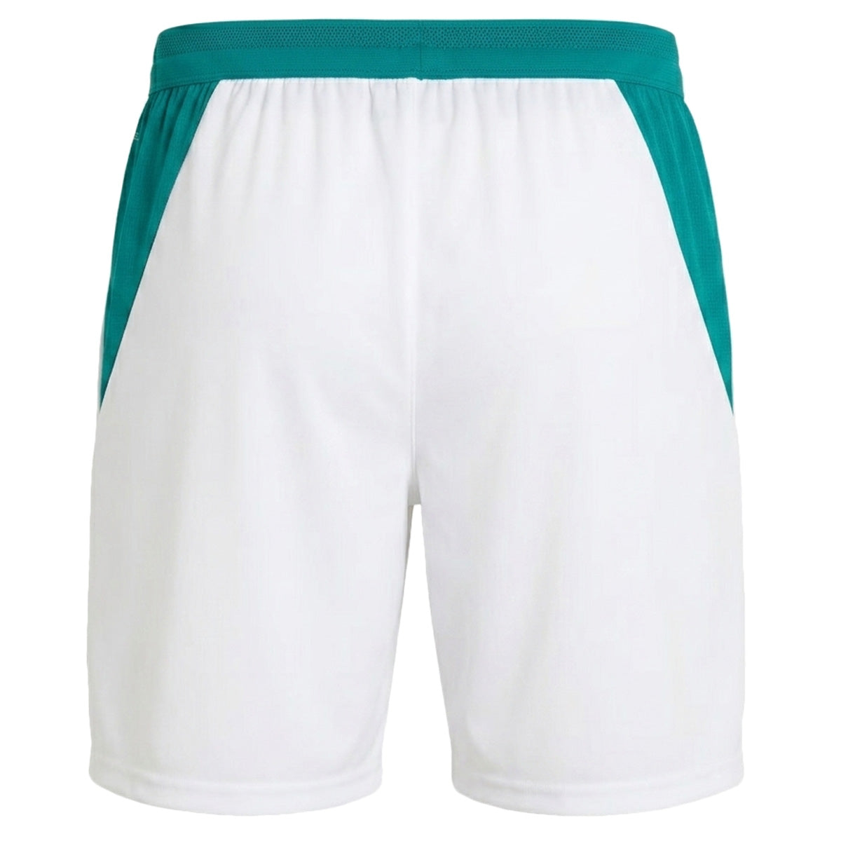 Short Homme Puma FPF REPLICA