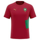 Tee-shirt Homme Puma FRMF PUMATECH