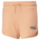 Short Puma BASIC
