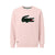 Sweatshirt Lacoste Junior