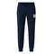 Pantalon de survêtement Homme Helvetica AKINS