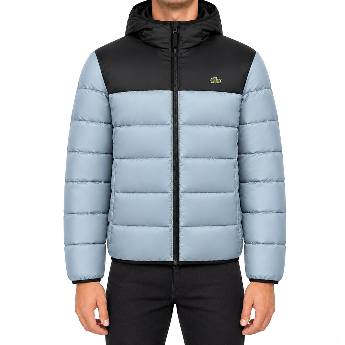 Doudoune à Capuche Homme Lacoste