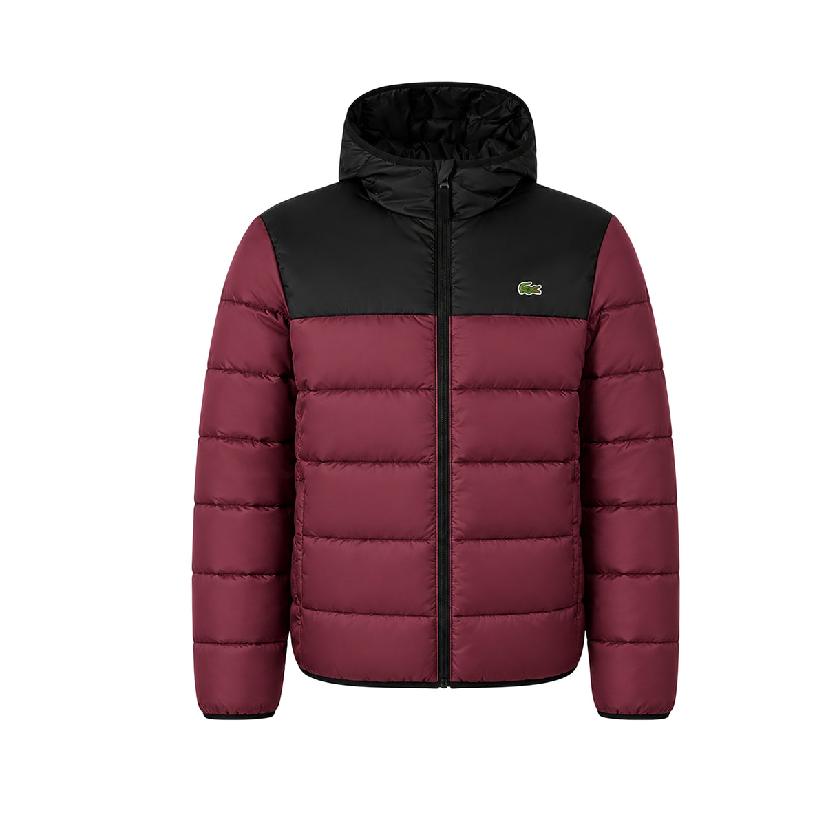 Doudoune à Capuche Homme Lacoste