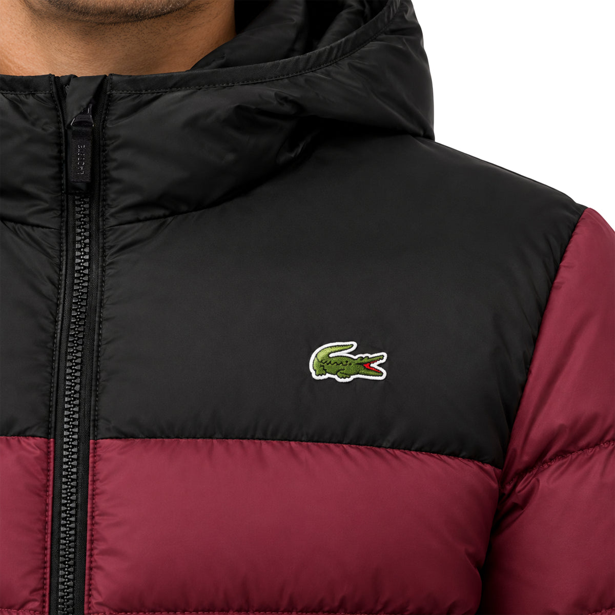 Doudoune à Capuche Homme Lacoste