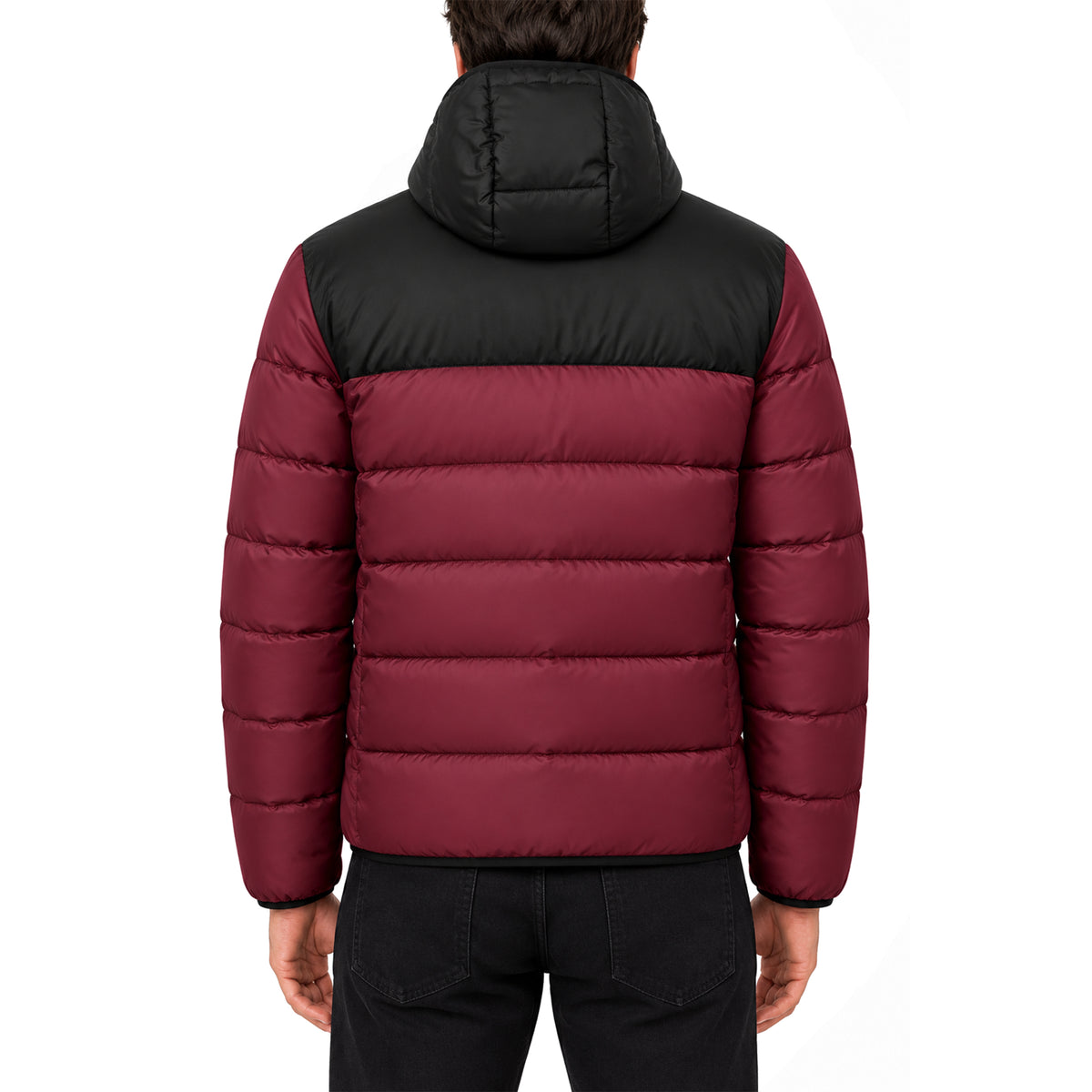 Doudoune à Capuche Homme Lacoste