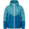 Doudoune Homme Nike SPORTSWEAR STORM-FIT WINDRUNNER