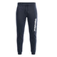 Pantalon de survêtement Homme Helvetica FREJUS2