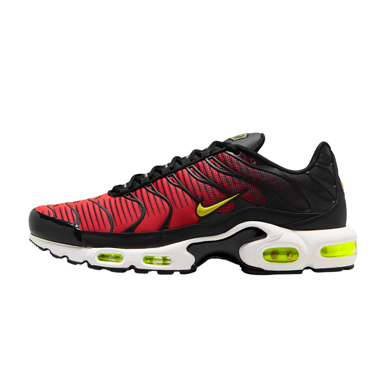 Basket Homme Nike AIR MAX PLUS TN