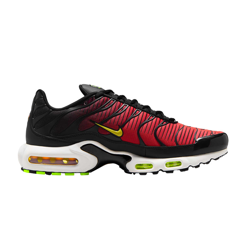 Basket Homme Nike AIR MAX PLUS TN