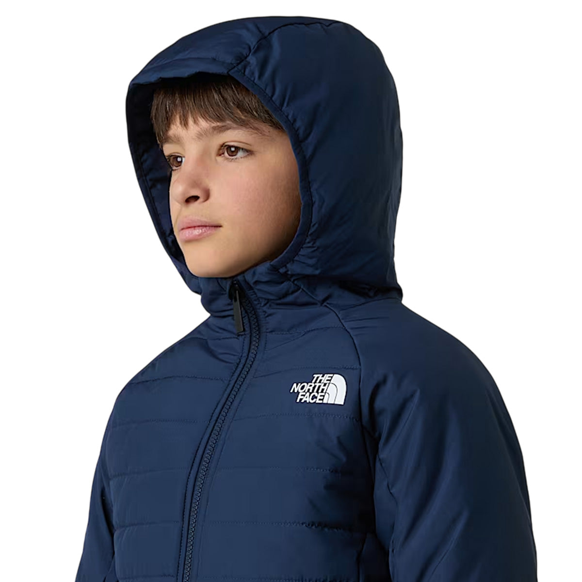 Parka à Capuche The North Face Never Stop